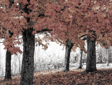 Lorem Ipsum is simply dummy text of the printing and typesetting ndustry.